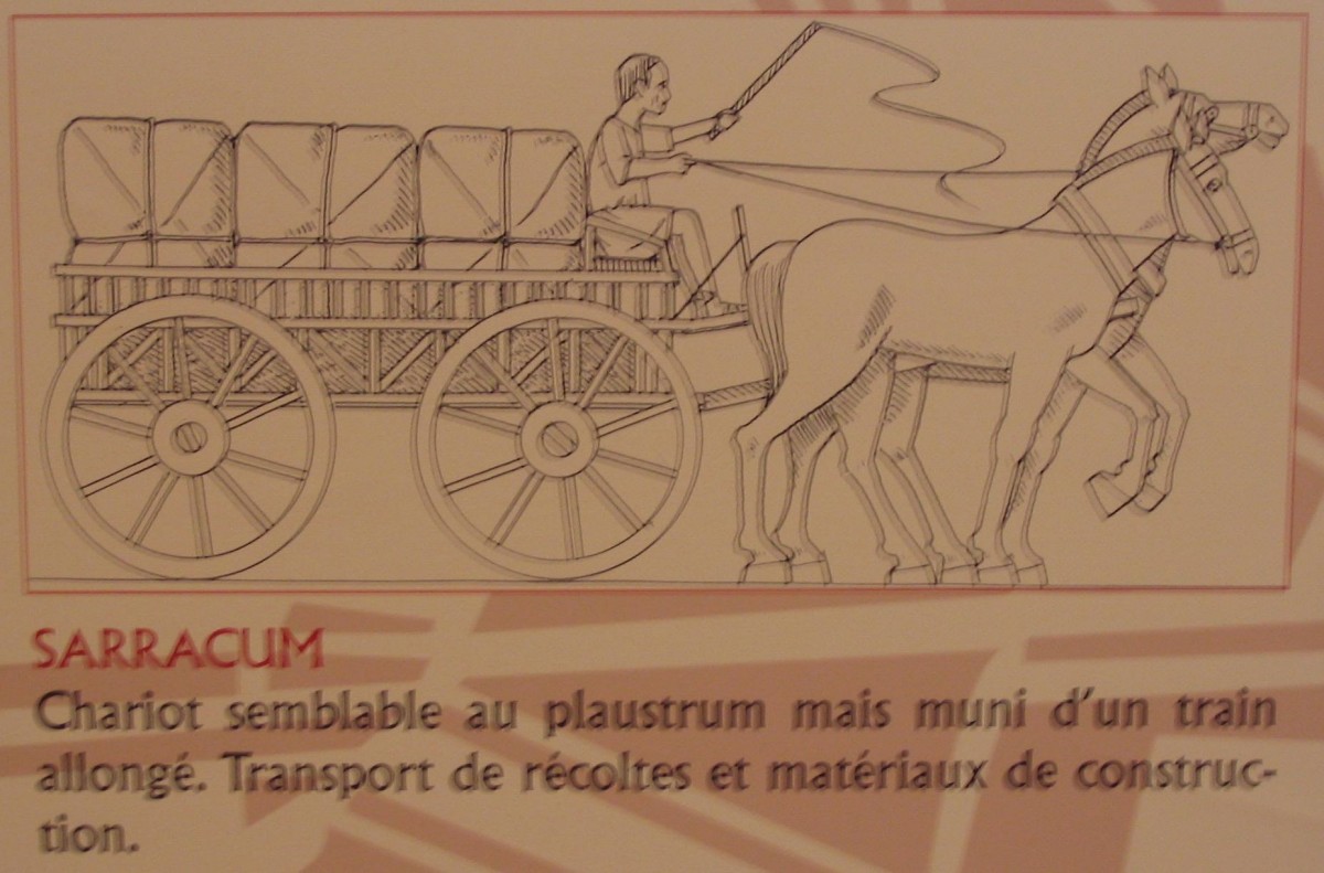 schema sarracum.jpg